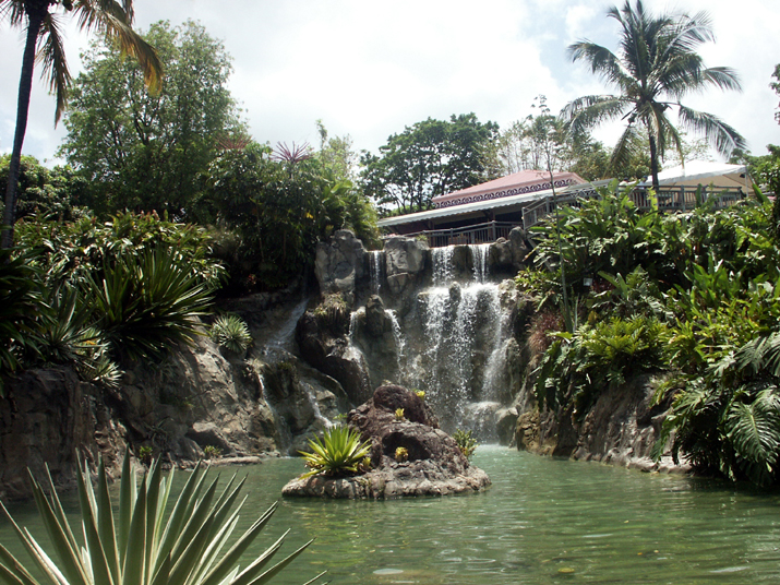 21a - Jardin Tropical 026.jpg - DCF 1.0